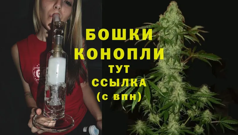 как найти наркотики  Волхов  Каннабис SATIVA & INDICA 